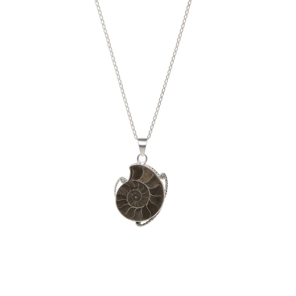 Ancient Spiral Shell Pendant