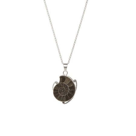 Ancient Spiral Shell Pendant
